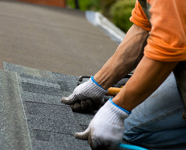 Best Roof Repair Services  in Chicago Ridge, IL