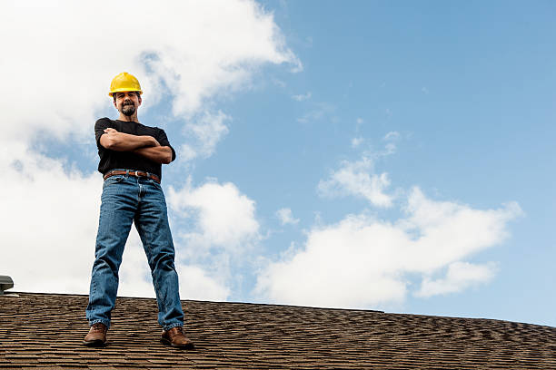 Roof Gutter Cleaning in Chicago Ridge, IL